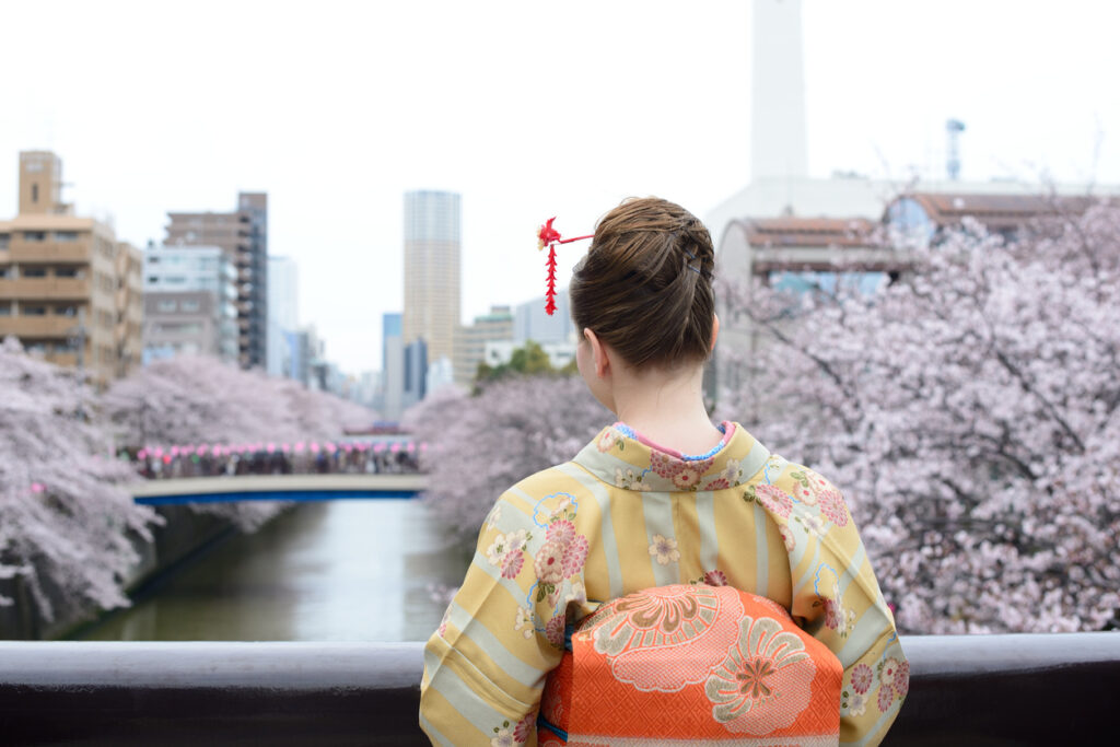 Meguro River Cherry Blossom Walk