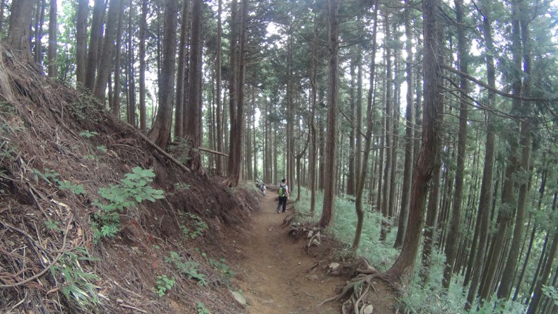 hiking trip from tokyo