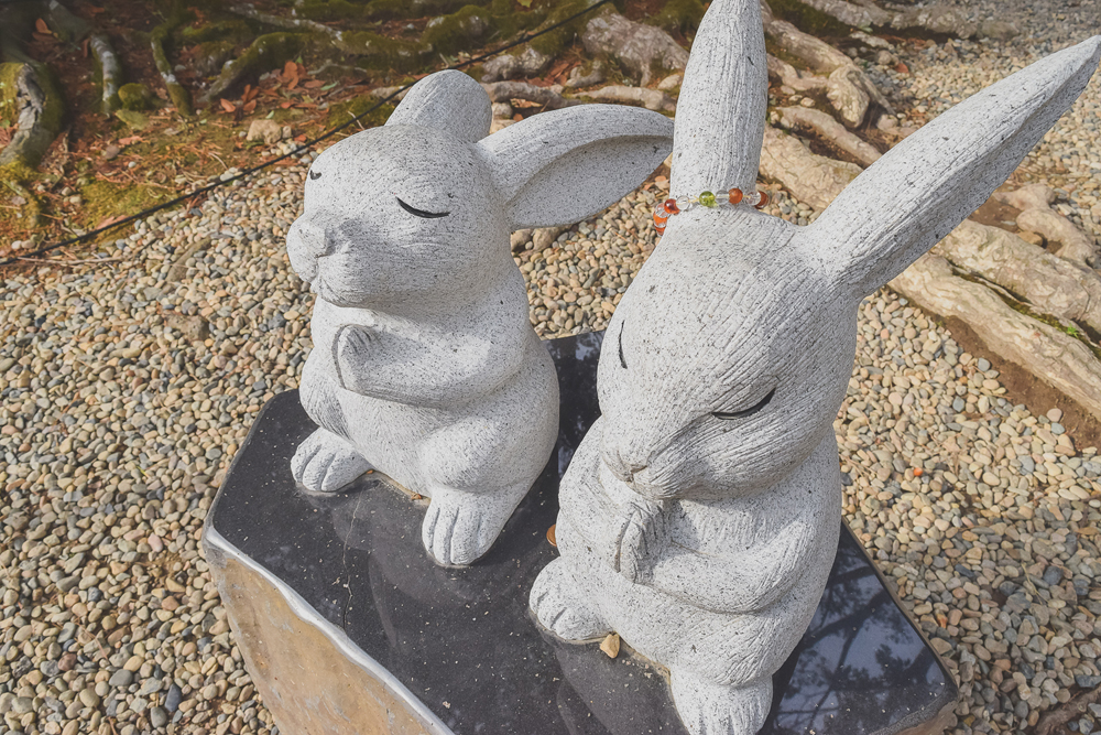 rabbits Izumo Taisha cropped