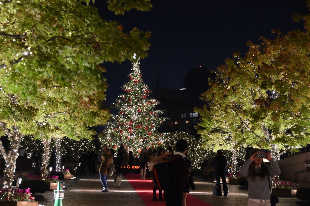 Tokyo's Best Winter Illuminations 2021-2022