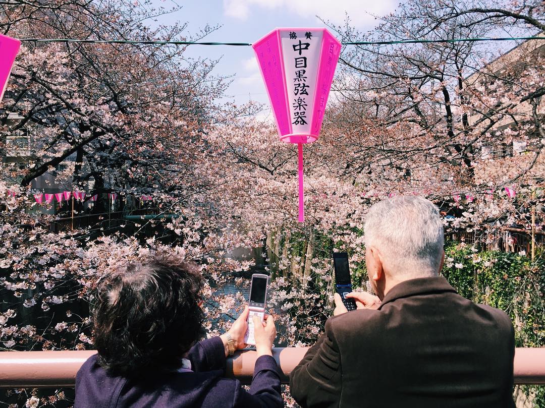 Savvy Tokyo Sakura Photo Contest 2017: Our Top 10 Photos - Savvy Tokyo