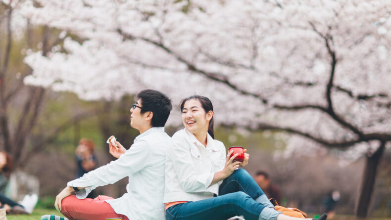 The Fine Line Between Sakura And Romance