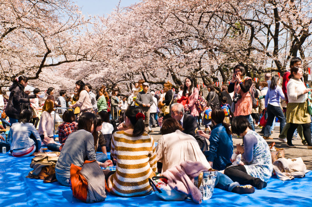 Festivals In Japan April 2024 Birgit Sharyl