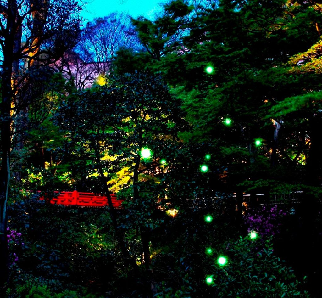 5 Places To See Fireflies In Tokyo This Summer - Savvy Tokyo