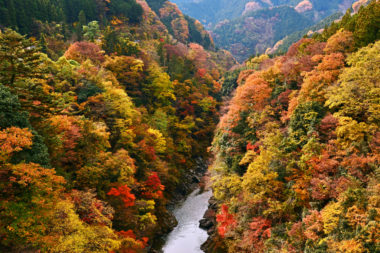 10 Gorgeous Autumn Foliage Spots In And Near Tokyo - Savvy Tokyo