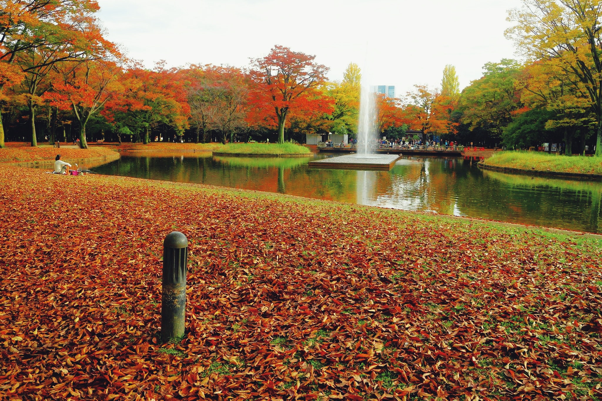 10 Gorgeous Autumn Foliage Spots In And Near Tokyo - Savvy Tokyo