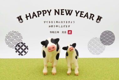 12 Essential Japanese New Year's Family Traditions - Savvy Tokyo