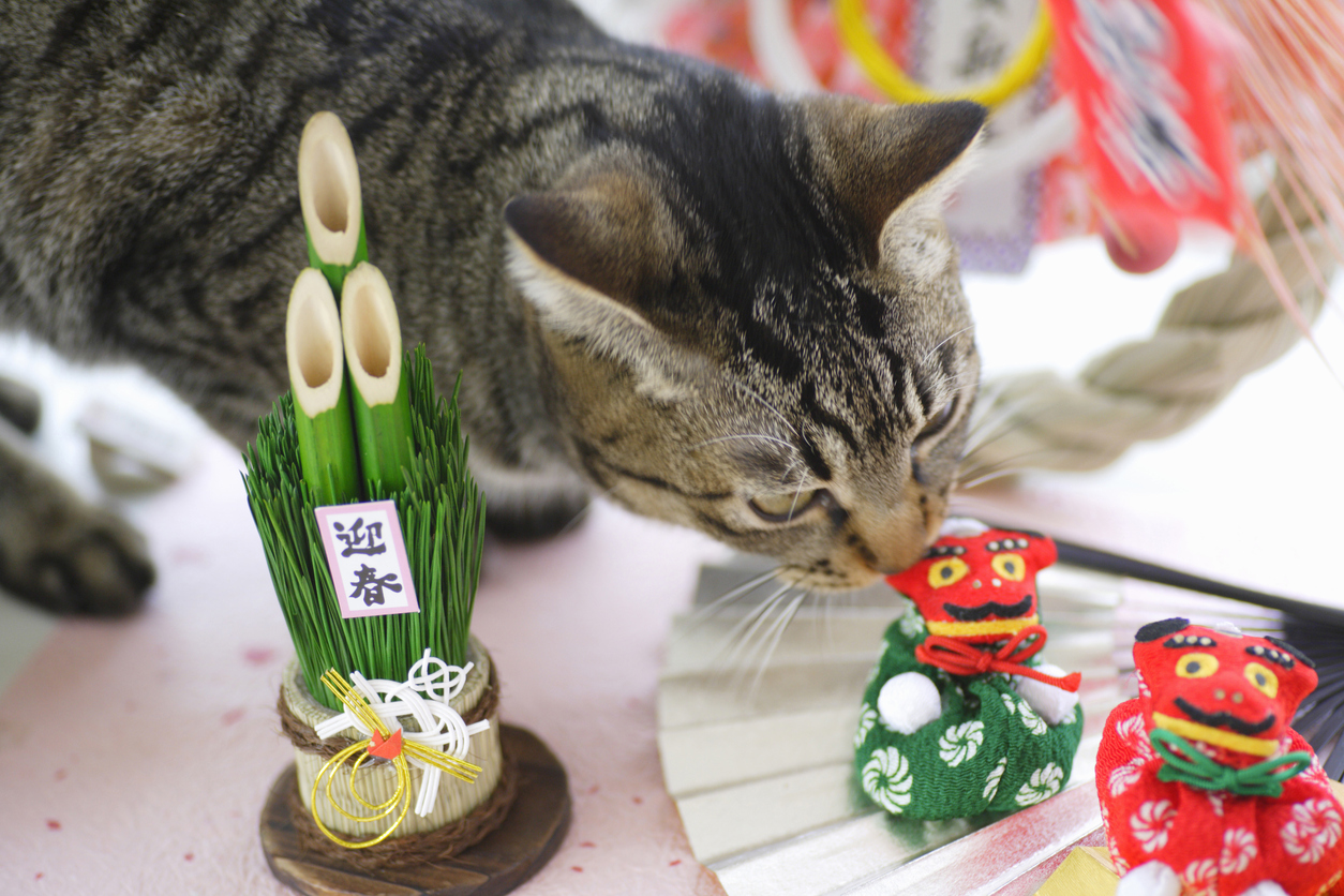 12 Essential Japanese New Year's Family Traditions Savvy Tokyo