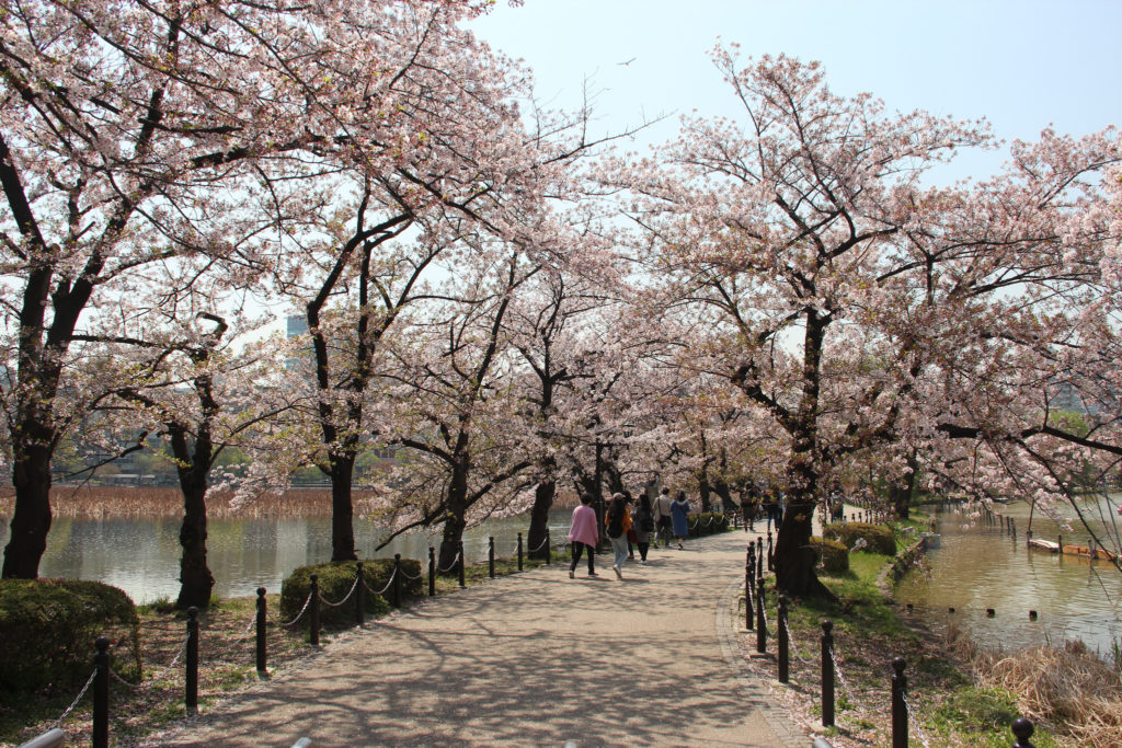 10 Of Tokyo's Most Beautiful Sakura Viewing Spots - Savvy Tokyo