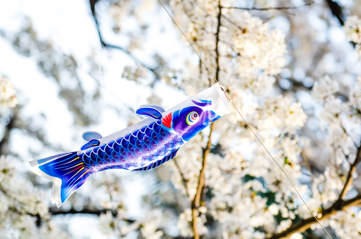 Carp Streamer Japanese Boy S Day Savvy Tokyo