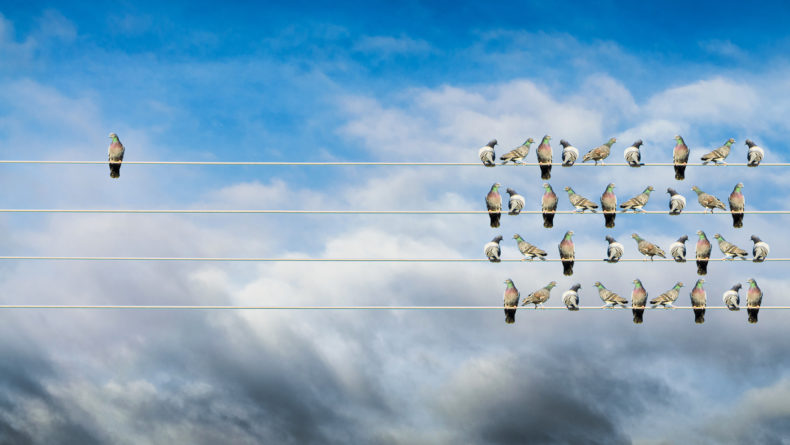 Individuality concept, birds on a wire, alone against mass - Savvy Tokyo