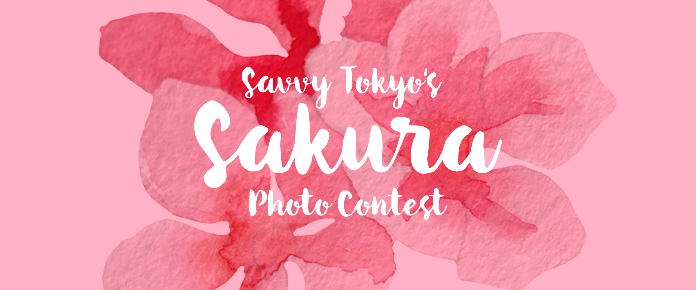 Savvy Tokyo Sakura Photo Contests 2020 Until April 30 Savvy Tokyo