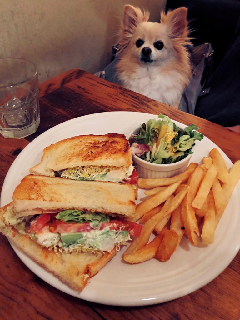 Tokyo S Top 10 Pet Friendly Restaurants And Cafes Savvy Tokyo