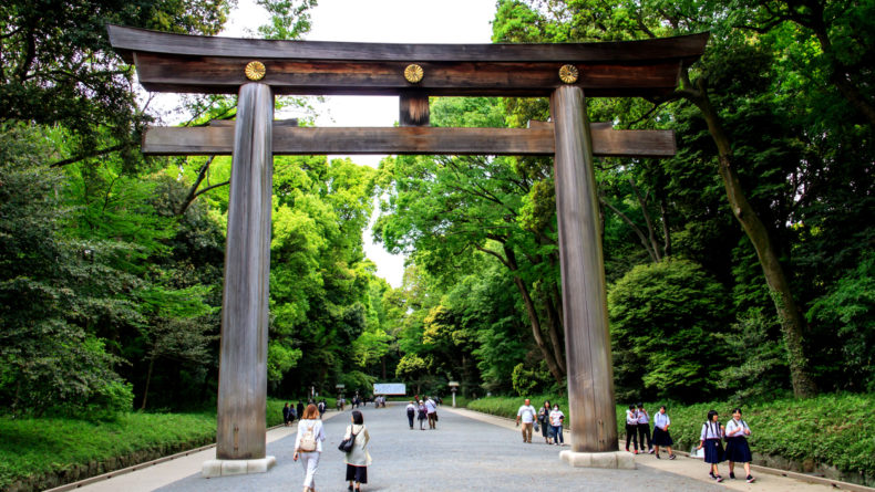 Meiji Jingu Torii - Top 9 Shrines to Visit in Tokyo