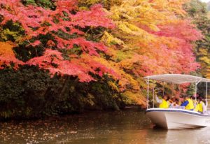 Kameyama Lake