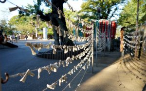 Kawagoe Travel Guide fortune slips 2