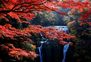 5 Day Spots to Visit in Ibaraki During Fall