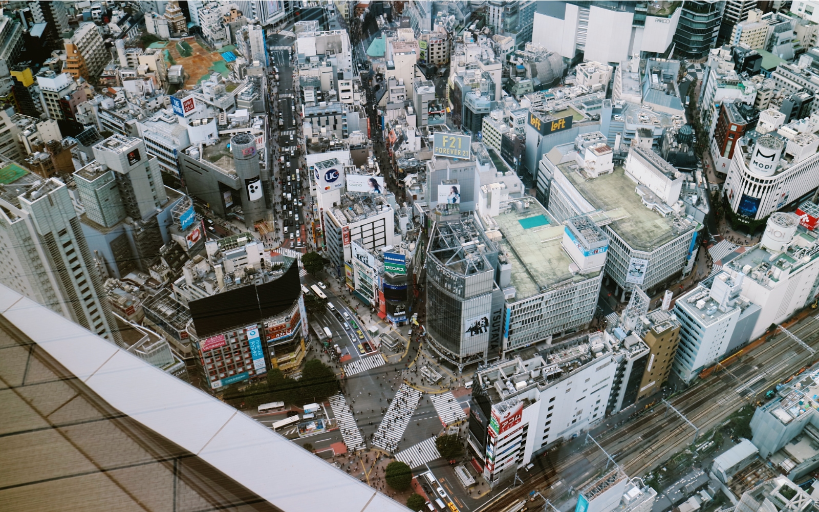 Overlook Japan’s Famous Crossing From Shibuya Sky - Savvy Tokyo