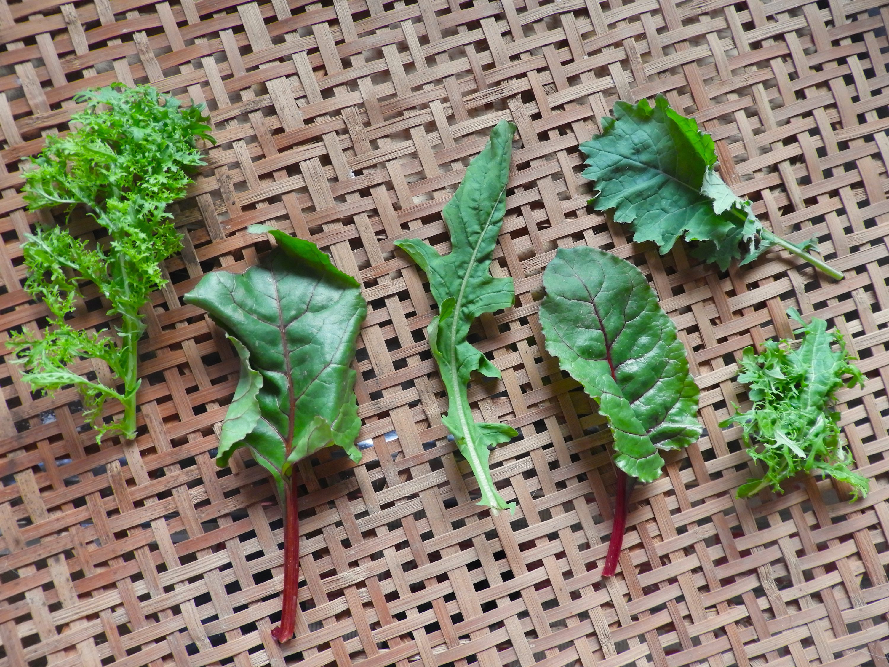 Get Your Veg Fix In Tokyo With These Vegetable Delivery Boxes
