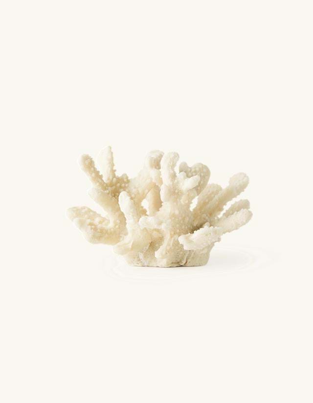 10 Aesthetically Pleasing House Décor Items Under ¥1000 - Coral sculpture