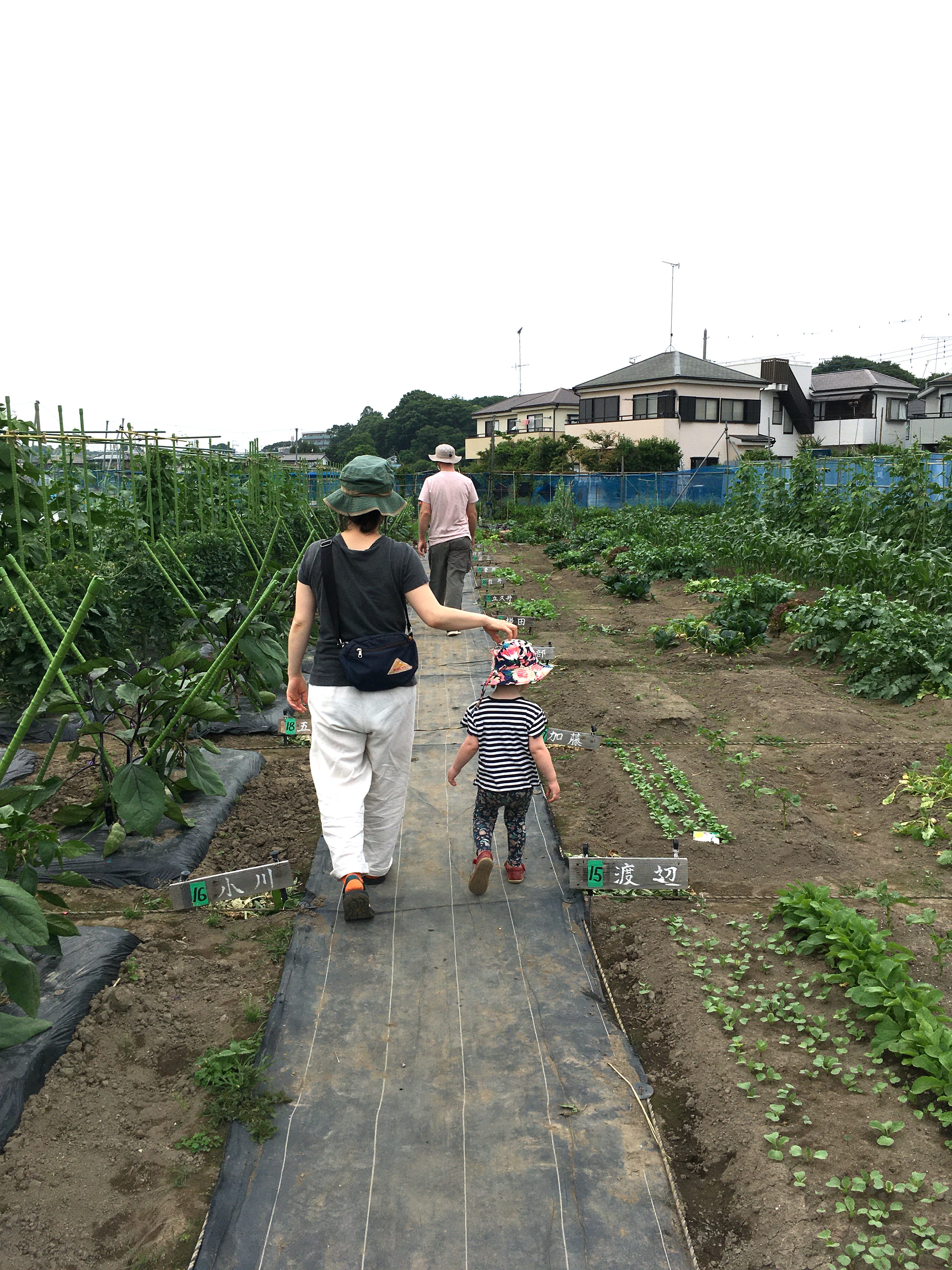 Here’s How To Join A Community Garden In Tokyo - People walking in a community garden
