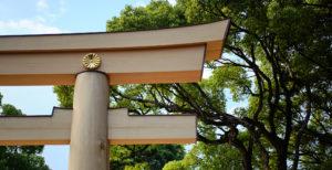 The Making Of The Eternal Forest At Meiji Shrine