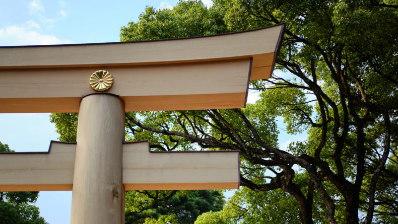 The Making Of The Eternal Forest At Meiji Shrine