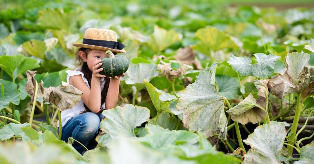 Young girl harvesting squash - activities for kids