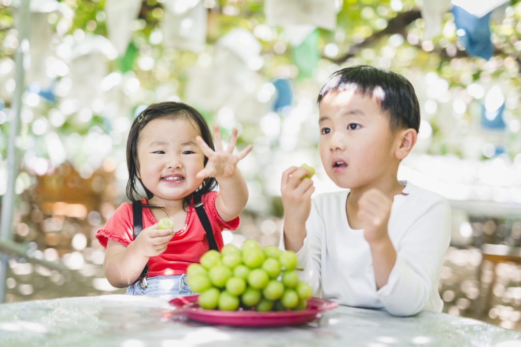 Siblings eating grapes in grape fields - Savvy Tokyo