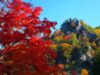 5 Hikes Around Tokyo To Catch Stunning Views Of Autumn Leaves