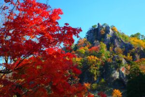 5 Hikes Around Tokyo To Catch Stunning Views Of Autumn Leaves