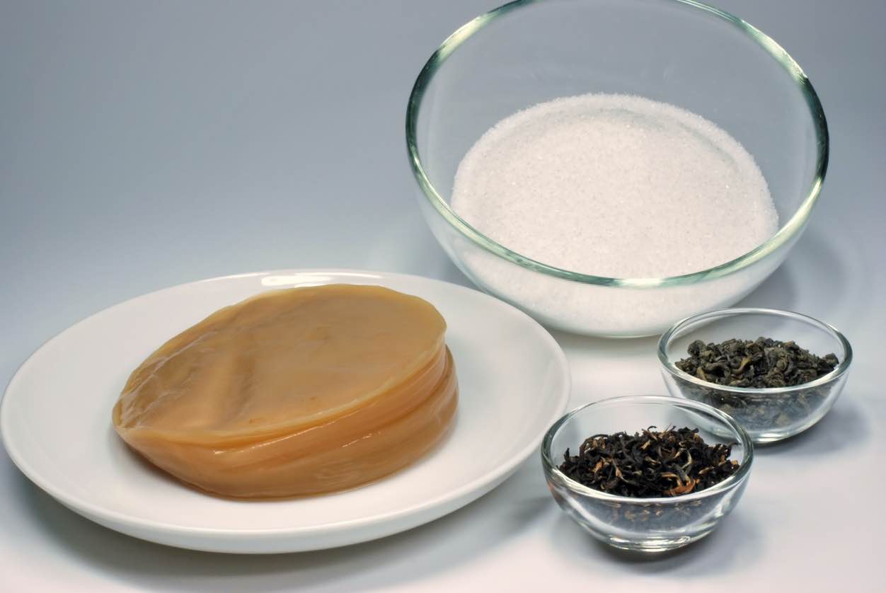 Kombucha ingredients scoby sugar tea