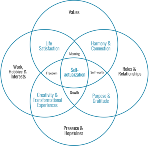 ikigai diagram from ikigai tribe