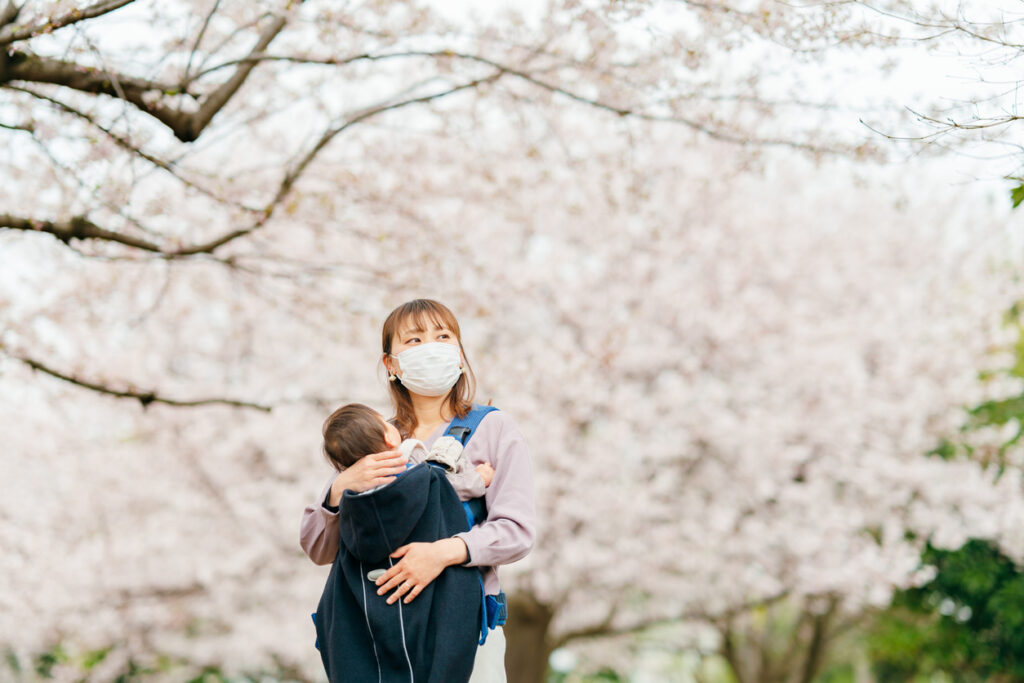 All You Need to Know About Japanese Cherry Blossoms