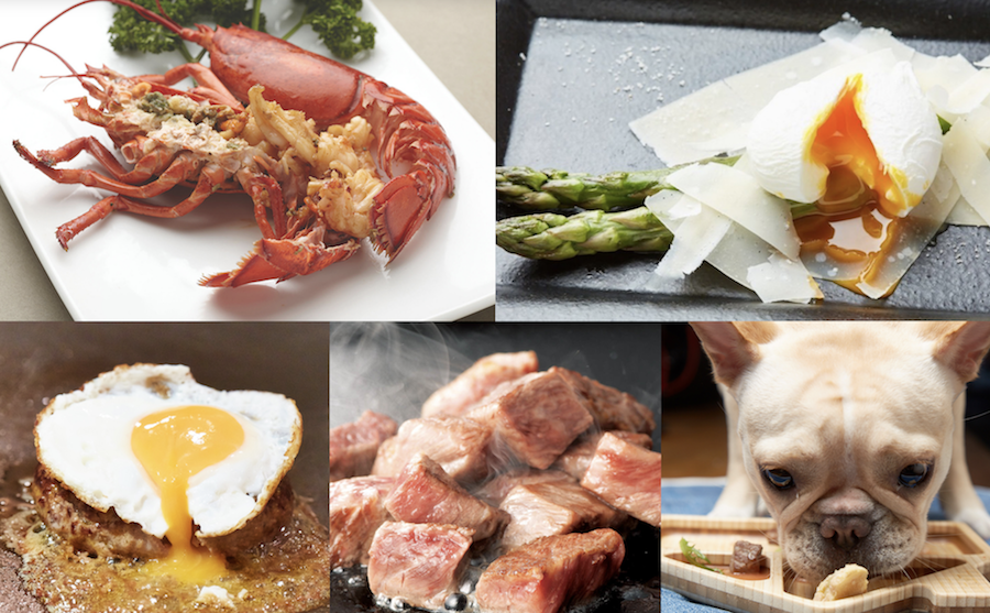 Tokyo s Top 10 Pet Friendly Restaurants And Cafes Savvy Tokyo