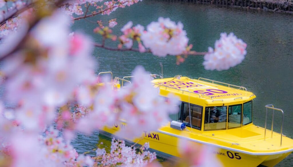 5 Unique Ways To Celebrate Sakura This Season In Tokyo