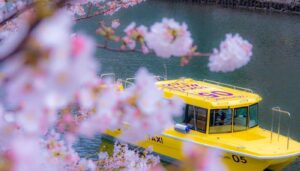 5 Unique Ways To Celebrate Sakura This Season In Tokyo