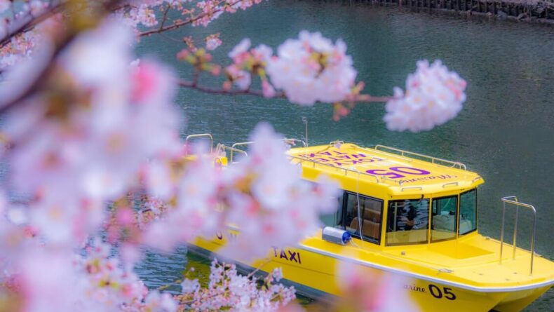 Cruise - Savvy Tokyo