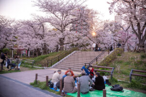 Tokyo's Top Family-Friendly Hanami Spots