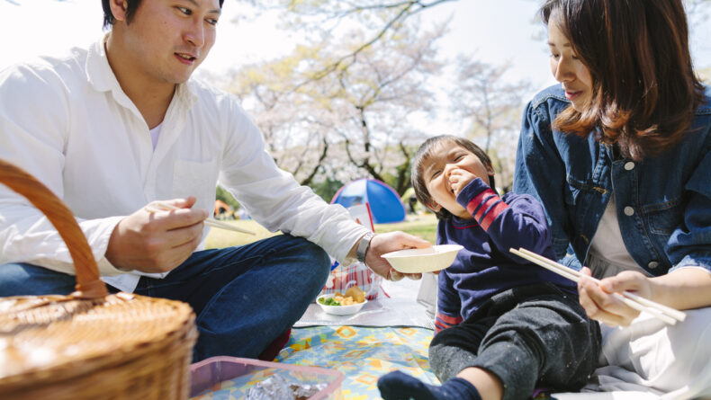 Tokyo's Top Family-Friendly Hanami Spots