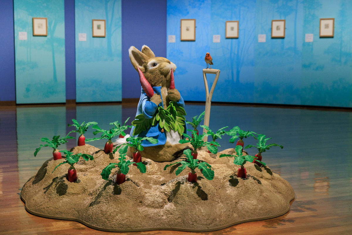 My First Giant Peter Rabbit   ******** SPECIAL OFFER********* 