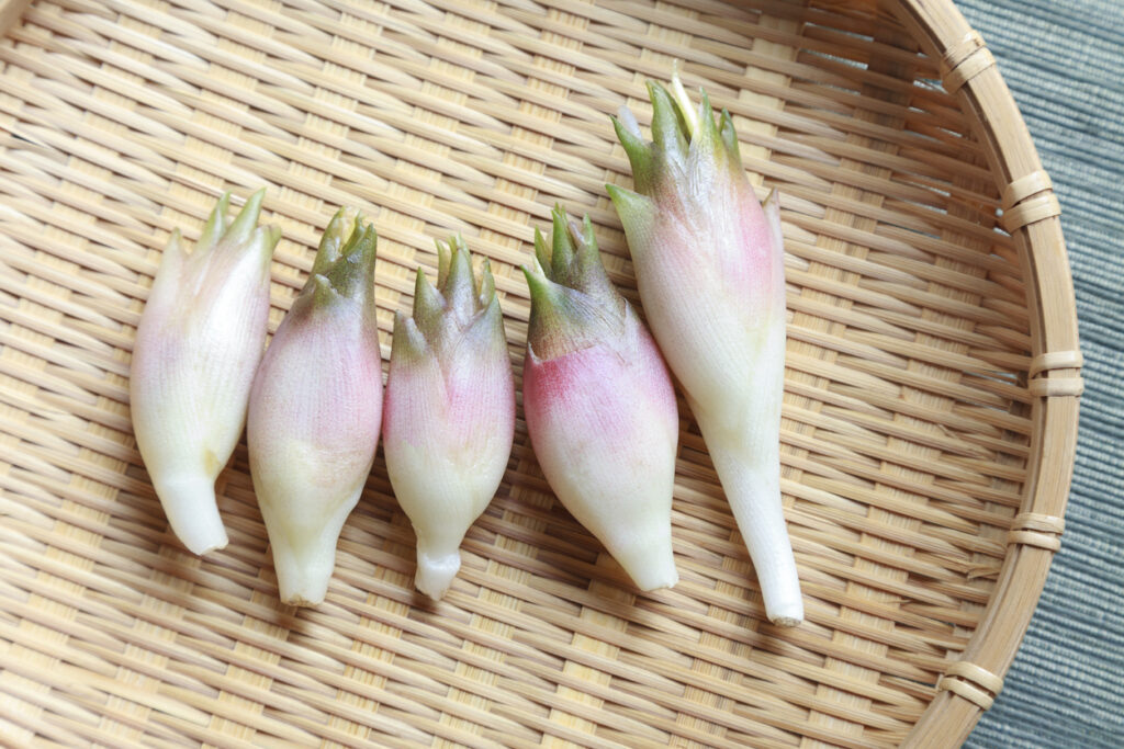 5 Seasonal Vegetables to Buy in Japan This Summer