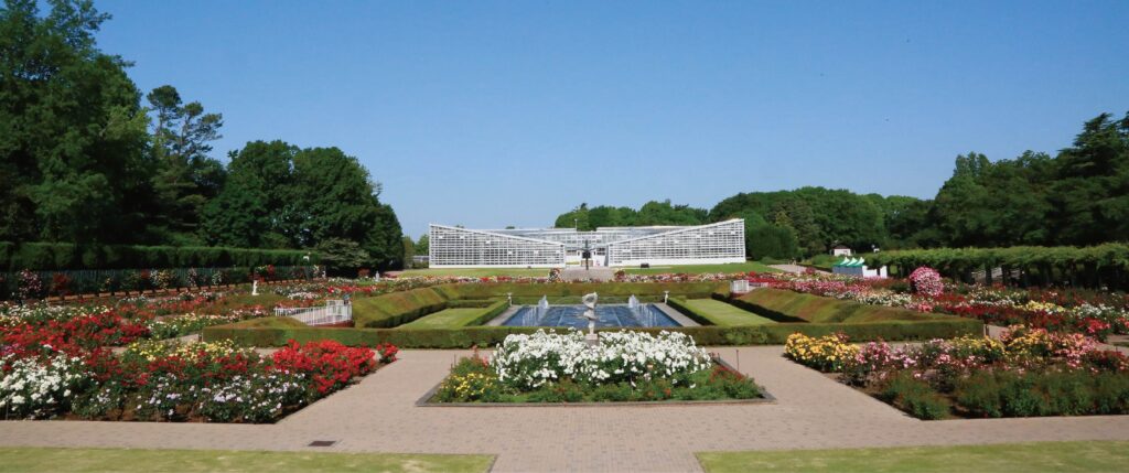 5 Stunning Rose Gardens In And Around Tokyo