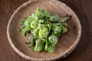 5 Seasonal Vegetables to Buy in Japan This Spring