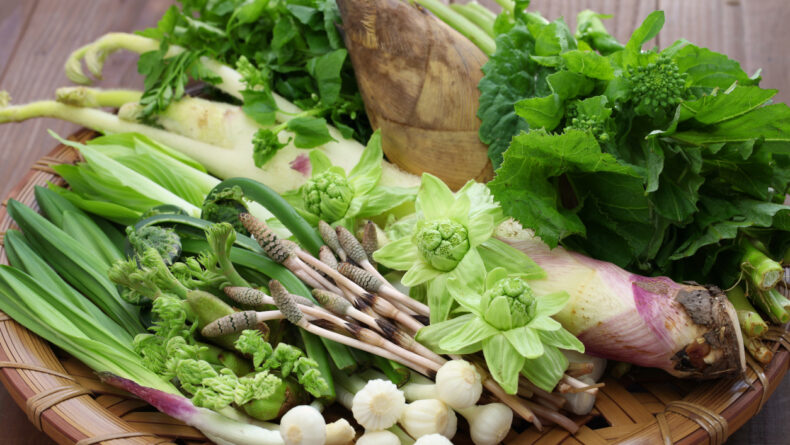 5 Seasonal Vegetables to Buy in Japan This Spring