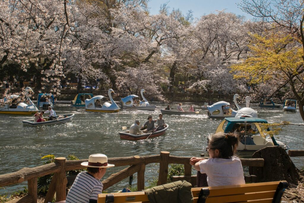 Savvy Tokyo Sakura Photo Contest 2023: Our Top 10 Photos