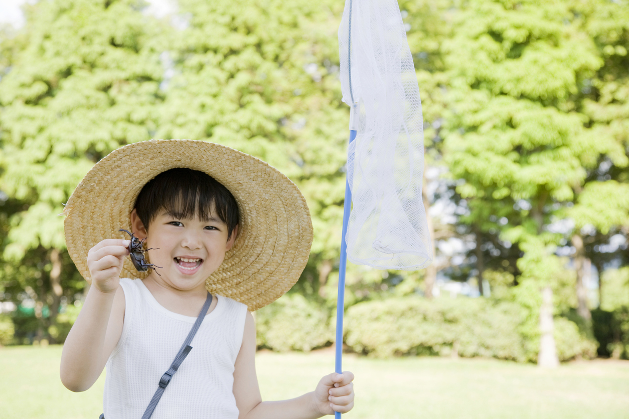 Bug-Catching in Japan: A Simple Summer Pleasure - Savvy Tokyo
