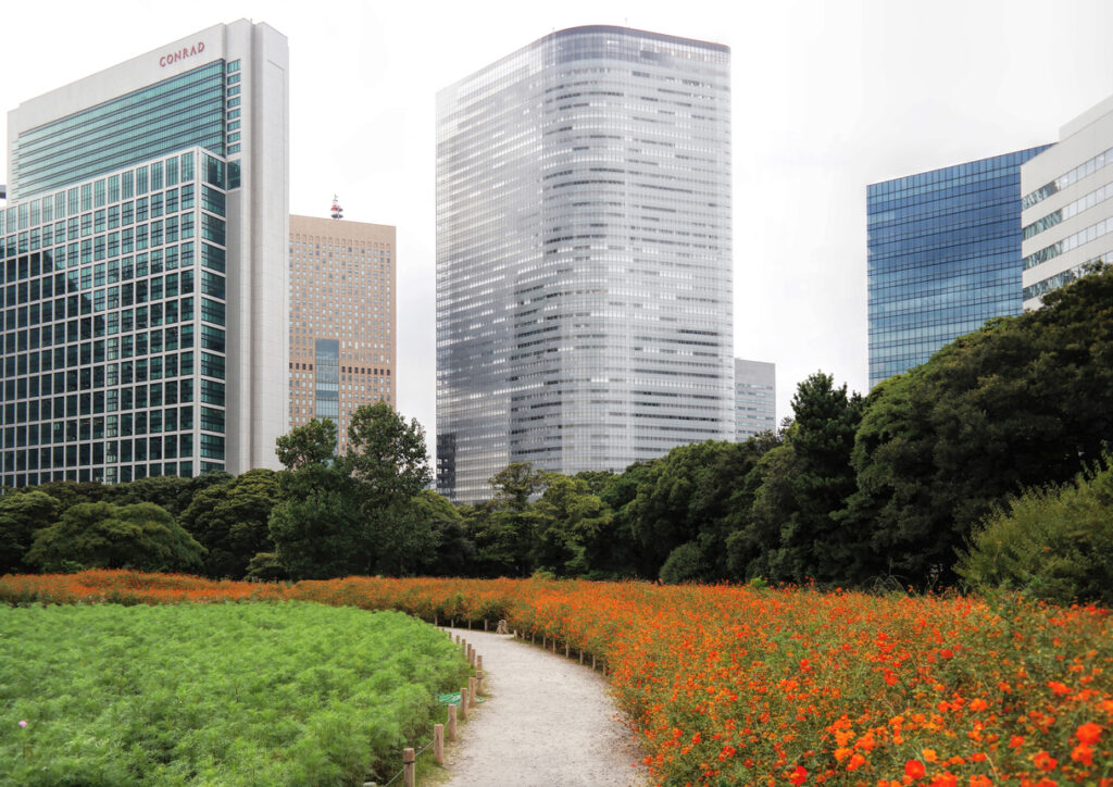 5 Must-Visit Cosmos Gardens in Tokyo