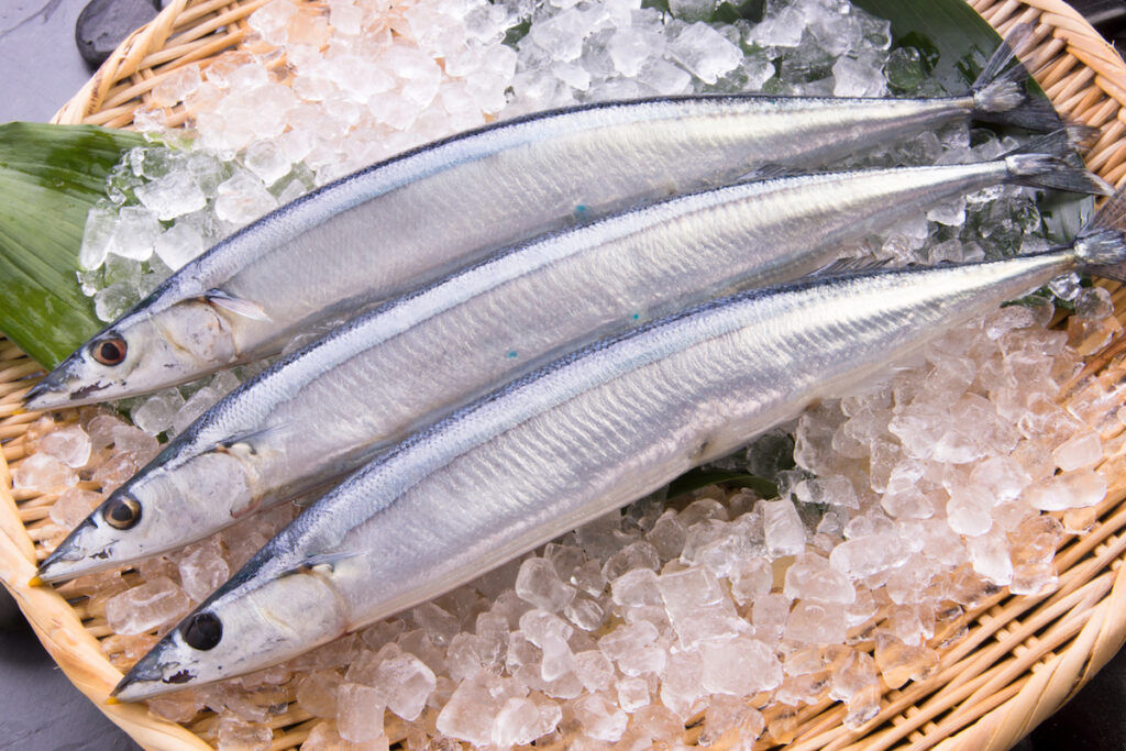 5 Japanese Fish to Celebrate Fall
