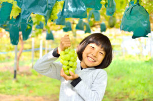 Tokyo’s Best Fruit Picking Spots